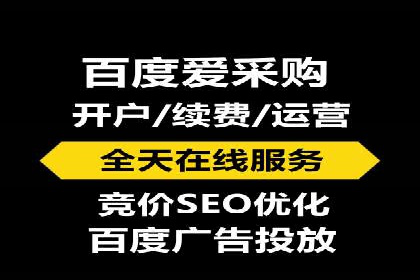 提升转化率：SEM竞价专员的案例研究